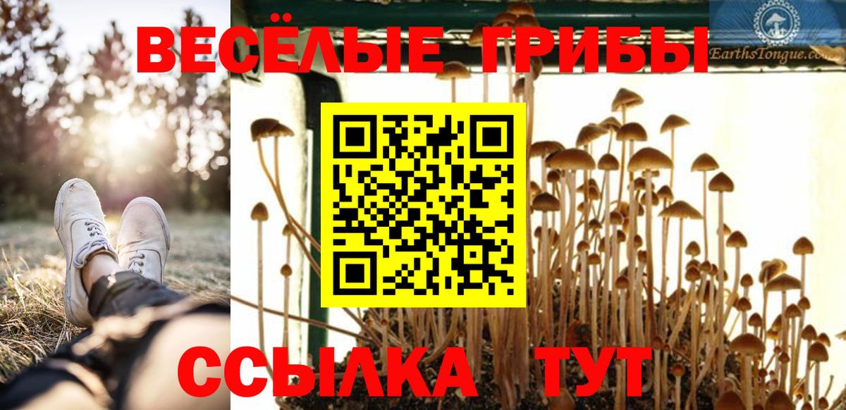Псилоцибиновые грибы мухоморы Малгобек