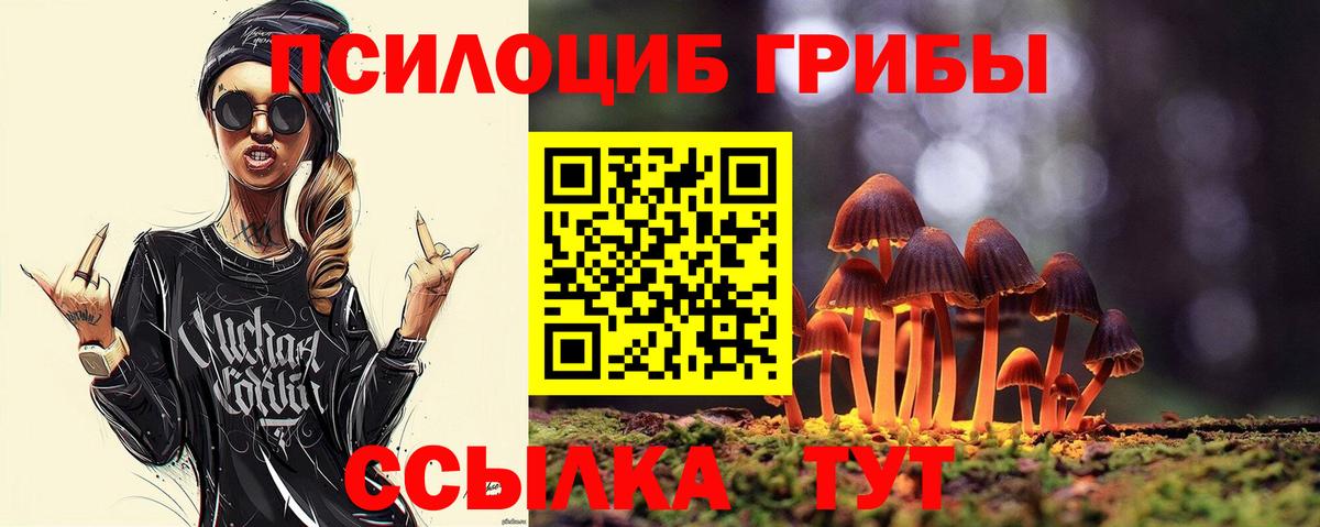 Альфа ПВП Малгобек