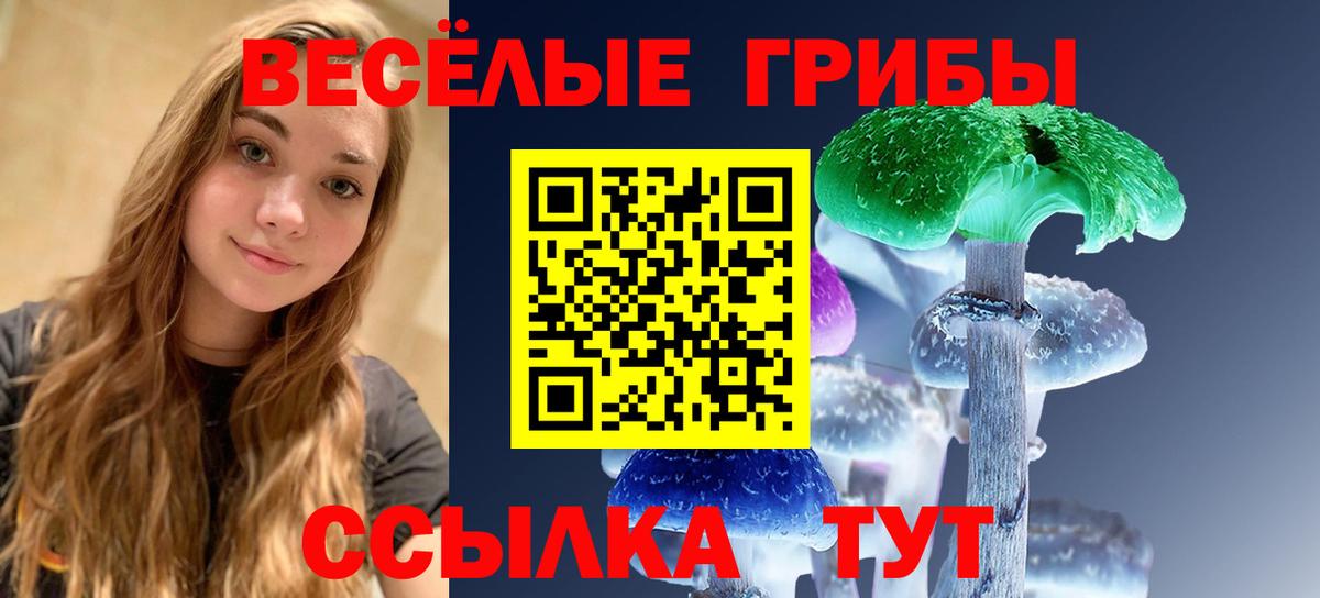 Малгобек  цены   Вход с VPN  Галлюциногенные грибы MAGIC MUSHROOMS  Галлюциногенные грибы прущие грибы 
