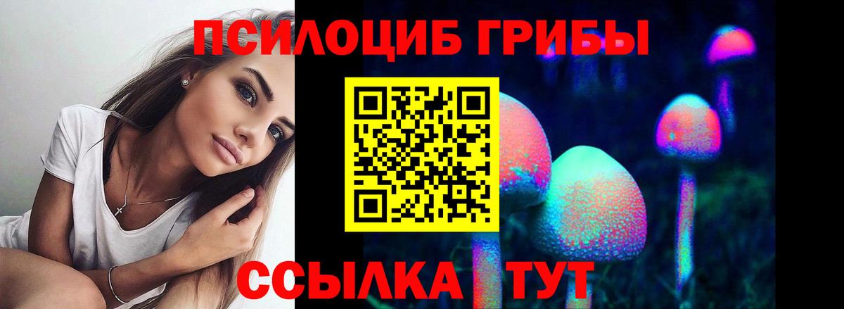 Галлюциногенные грибы прущие грибы  Псилоцибиновые грибы мухоморы  Малгобек 